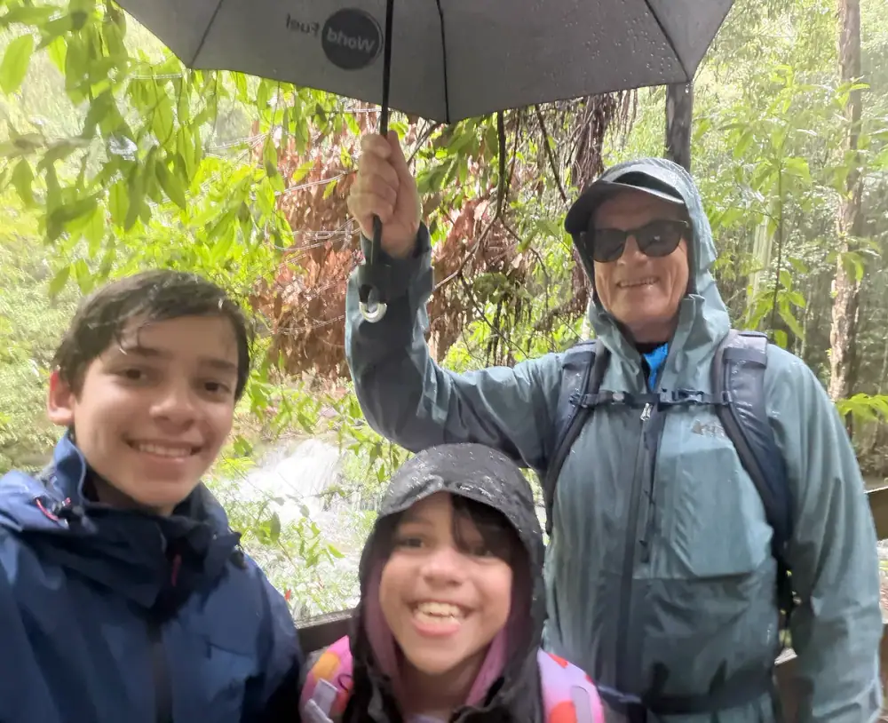 In the Rain — image 6